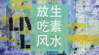 放生活动是否与风水中的某些禁忌存在关联？