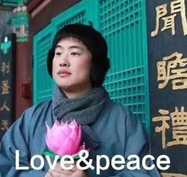 几个凑合的名字 (别太当真!)