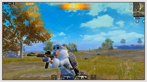 起名不仅仅是代号，那是灵魂的裸奔啊朋友们！