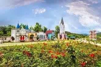 实拍！花园惨状大曝光