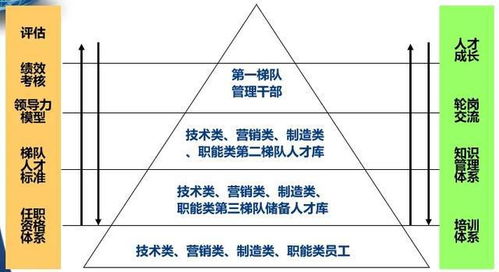 二、 命运线的平行与分支：多元事业的根基