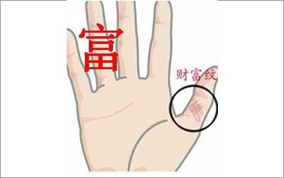 第一节 财运线物理屬性與財運旺盛度之正相關驗證