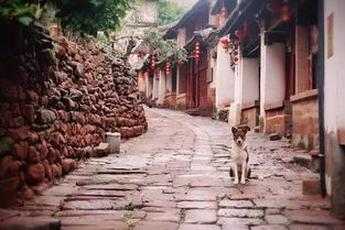 滇南盐产地的兴起与历史地位