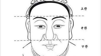 1.1 形态特征的描述性