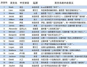 第三步：避免雷区！（千万别踩坑！）