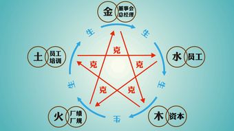 顺应自然、待机而动的策略