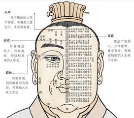一、 下巴饱满与口福痣：财富积累的基础