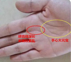 6. 元宝纹（三角/矩形纹）——正偏财流动频繁之凭据