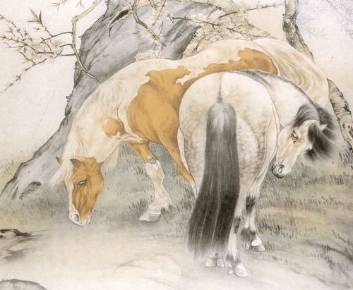 属马2026年穿什么颜色衣服最旺财？2025年属马的人穿什么衣服能招财？