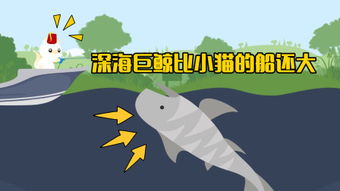 心理状态因素的作用于