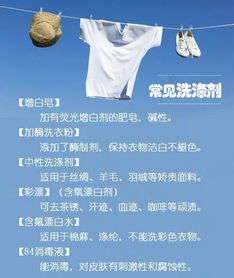二、 探究方法论