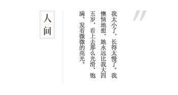 哲学基础：阴阳五行与天人合一