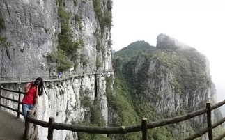 自驾游还是跟团走？这是个问题