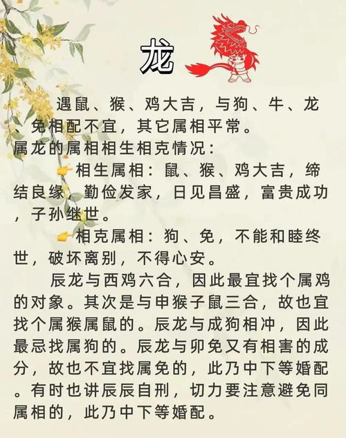 和光同尘对应哪个生肖？这究竟是什么生肖呢？