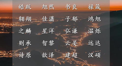 第二个猛士叫功搏