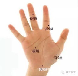 三、 职业倾向与能力特征之关联分析