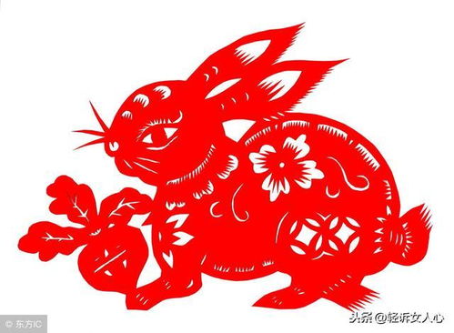 猪年属相中哪个生肖运势最旺，其含义是什么？