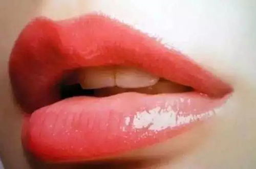 案例分析：实证资料之呈现