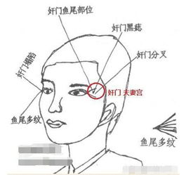 2. 大脑门配圆下巴，想不富都难！