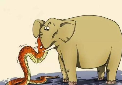 八字肾阴阳不足如何快速补充饮食调理？