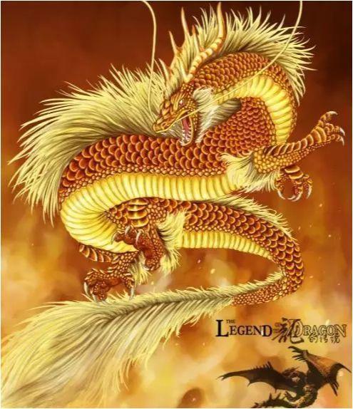 2026年38岁属龙的人，2026年属龙人的主财方位具体指什么？