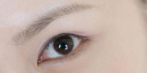 不同时辰眉毛跳动，分别预示着什么征兆？