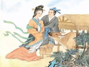 1）汉字音义联想与数理寓意
