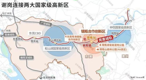 1.1 地域性优势：地方知识与跨区域经验之融合
