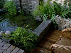 三、 居家风水布局的注意事项