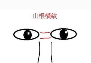 二、  须乱鼻小：内在不稳与外在粗犷