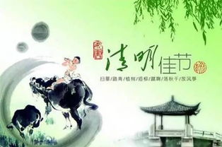 2. 清洁工具：整洁环境下的虔诚致敬