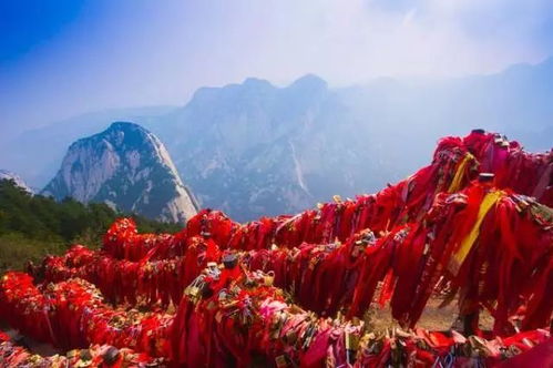 算命中五关和金锁关分别代表什么含义？