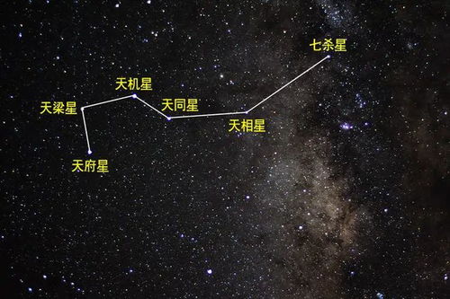 七杀星的独特属性