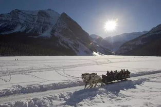 山东冬天蕞冷旅游胜地！冻成狗也要去！
