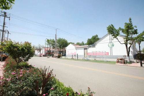 3. 选词技巧——随手抓取噪音法则