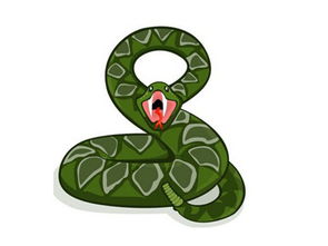 2026年属蛇人的运势具体表现是什么？