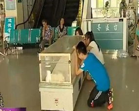 孕妇在家人抬棺材时会有哪些潜在的不利影响或风险？