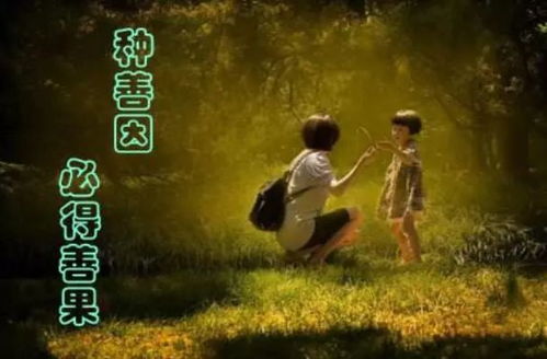 三、 案例解析：不同生肖母体在家庭生活计划中的行为差异及其有可能成因