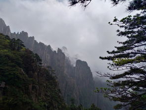 西海大峡谷：网红小火车下的“风景骗局”？