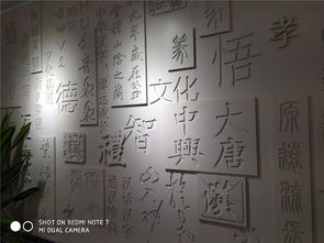 字形辨识