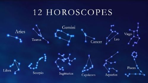 什么是土象星座和风象星座，它们分别代表什么性格特点？