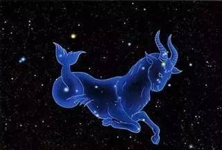 奇葩植物大集合