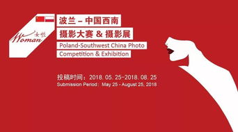 五、独立自主：追求自我价值实现的内在驱动力