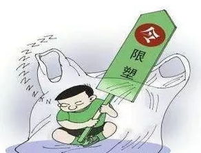 一、 功能层面的系统阐释