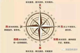 2.2 星象变化对当日能量场的影响评估