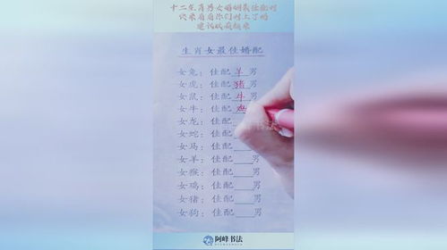 ：传统命理学视角下的婚配解析框架