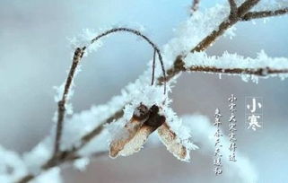 大寒节气的文化溯源与国学内涵