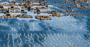 第一站：赶海一号——让你和孩子变成泥猴子