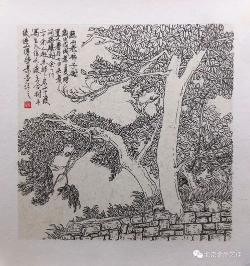 二、  文化底蕴脉络与场域建构：茅山与白泉寺的学术实际价值