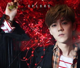 冯家男孩の土味情话